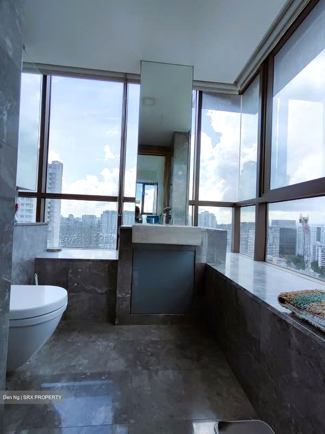 Skyline Residences (D4), Condominium #539316511